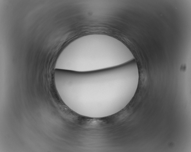 X0000114080379200910051006