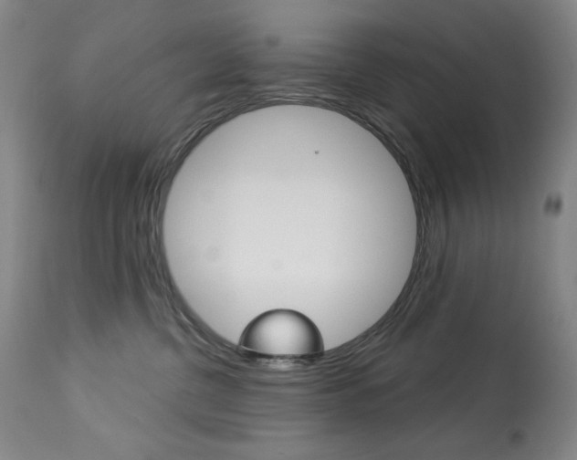 X0000114080380200910051006