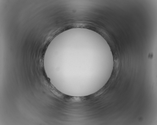 X0000114080381200910051006