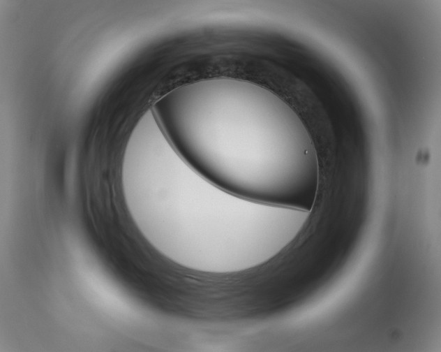 X0000114080382200910051006