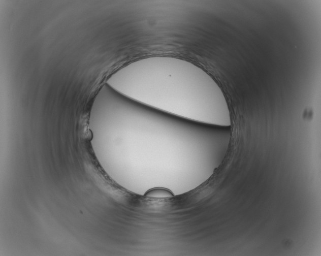 X0000114080383200910051006