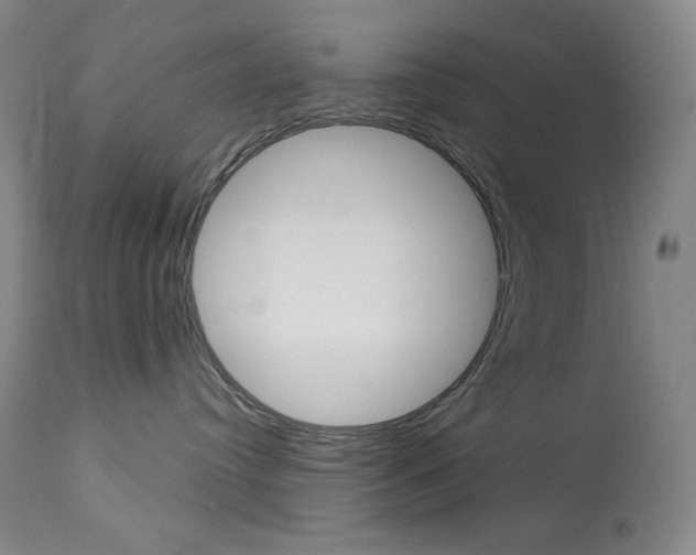 X0000114080384200910051006
