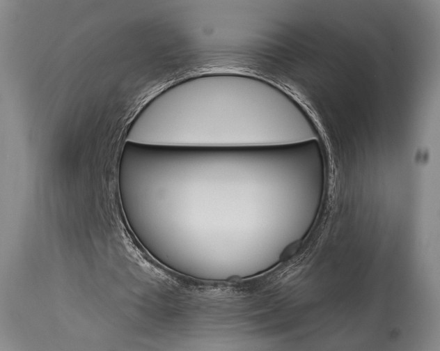 X0000114080385200910051005