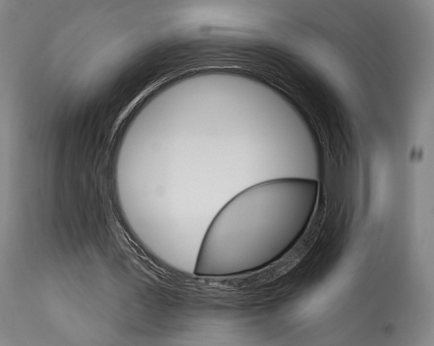 X0000114080387200910051005