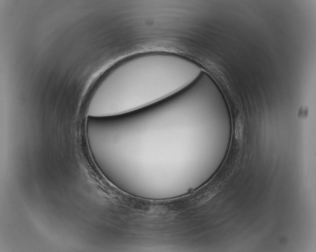 X0000114080388200910051005