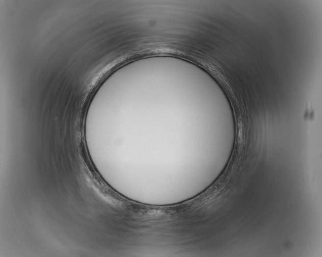 X0000114080390200910051005