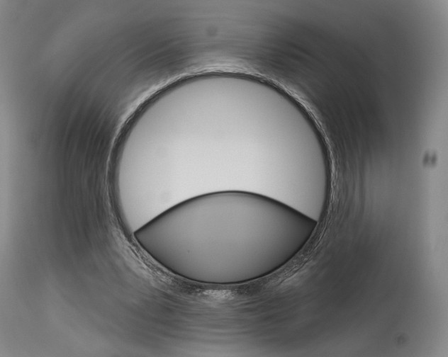 X0000114080391200910051005