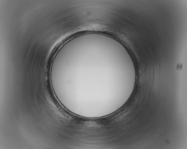 X0000114080392200910051005