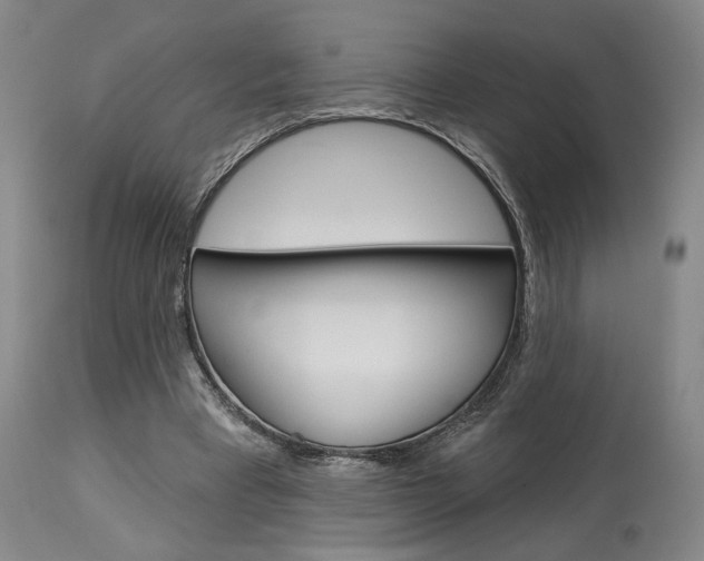 X0000114080393200910051005