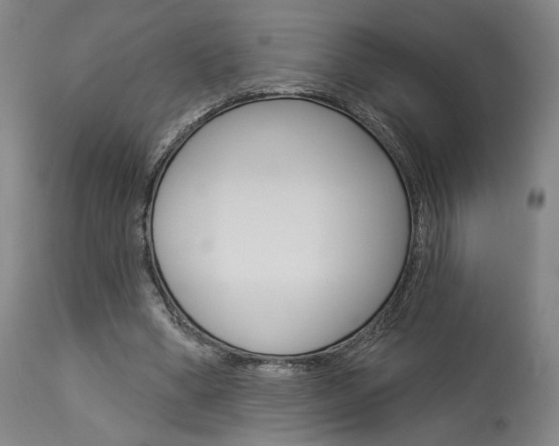 X0000114080394200910051005