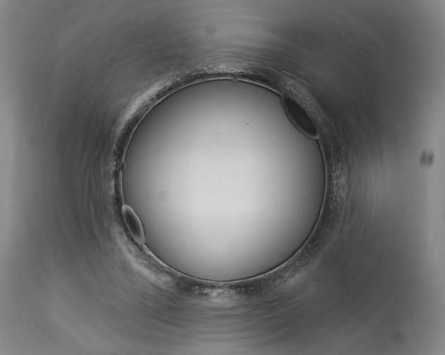 X0000114080395200910051005