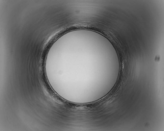 X0000114080396200910051005