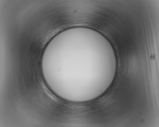 X0000114080397200910051005
