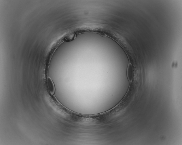 X0000114080399200910051005