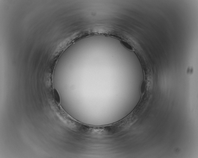X0000114080401200910051005