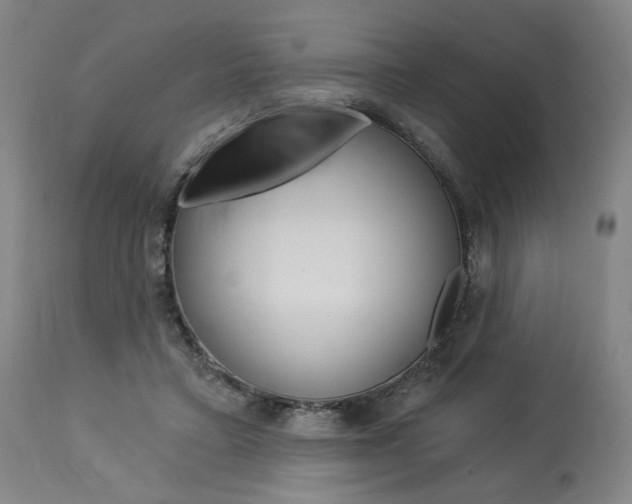 X0000114080403200910051005