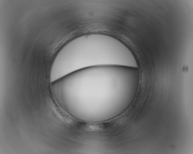 X0000114080405200910051005