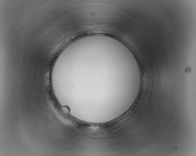 X0000114080406200910051005