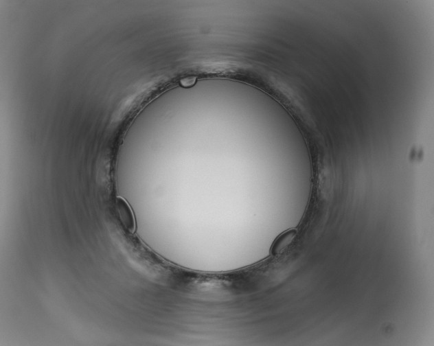 X0000114080407200910051005