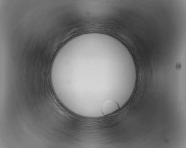 X0000114080409200910051005