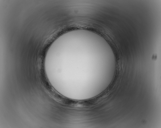 X0000114080412200910051005