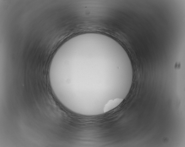 X0000114080415200910051005