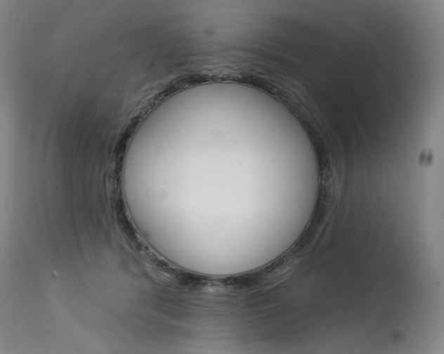 X0000114080416200910051005