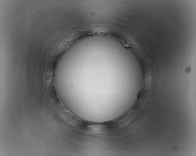 X0000114080417200910051005