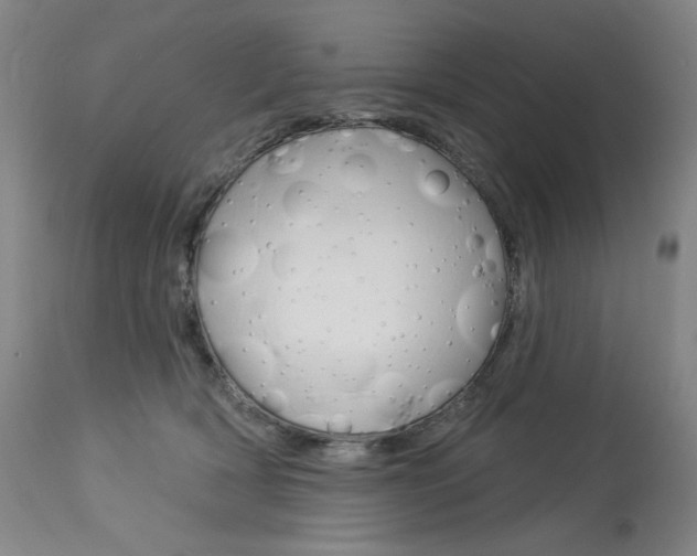 X0000114080418200910051005
