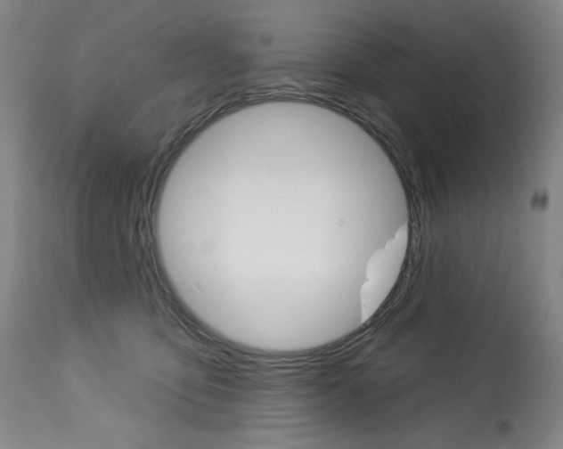 X0000114080419200910051005