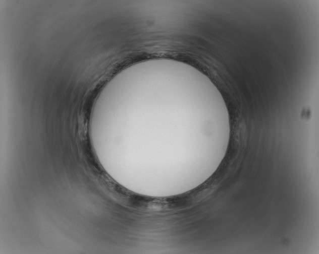 X0000114080420200910051005