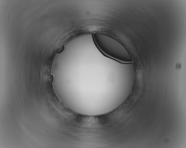 X0000114080421200910051005