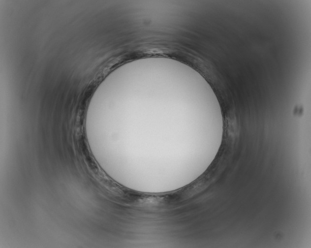 X0000114080422200910051005