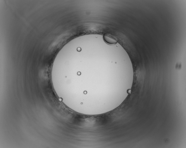 X0000114080423200910051005