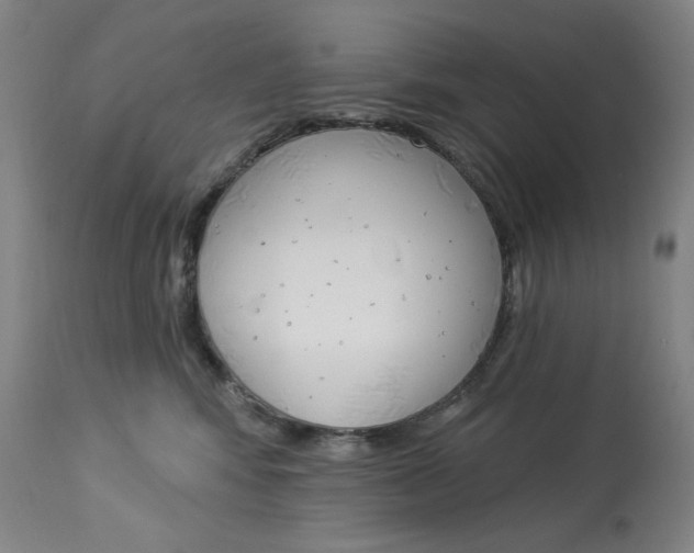 X0000114080424200910051005
