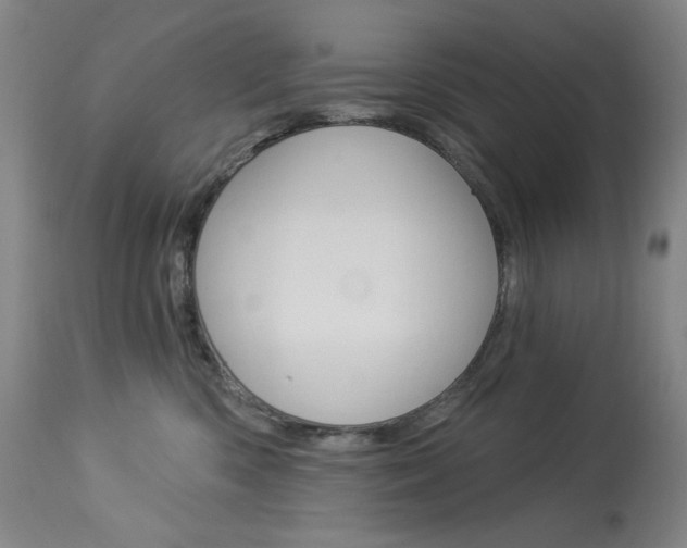X0000114080426200910051005