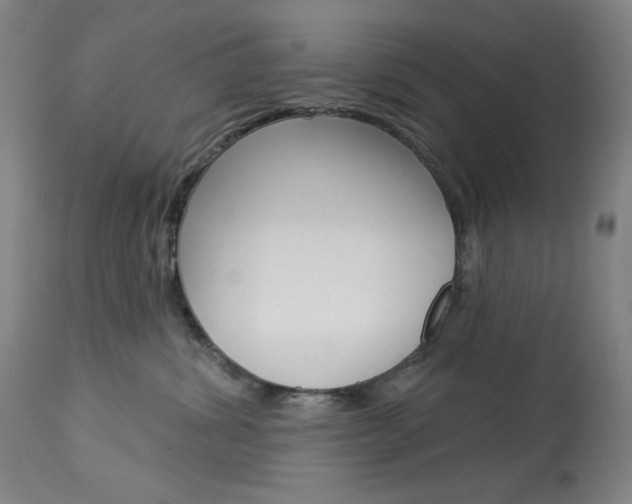 X0000114080428200910051005
