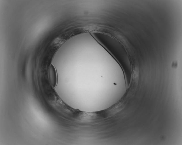 X0000114080429200910051005