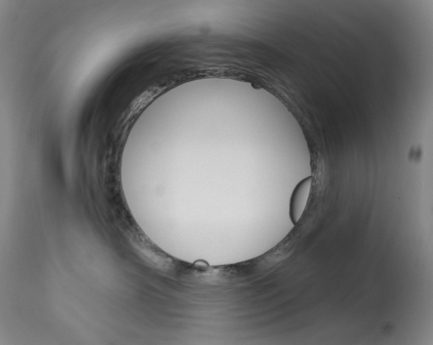 X0000114080430200910051004
