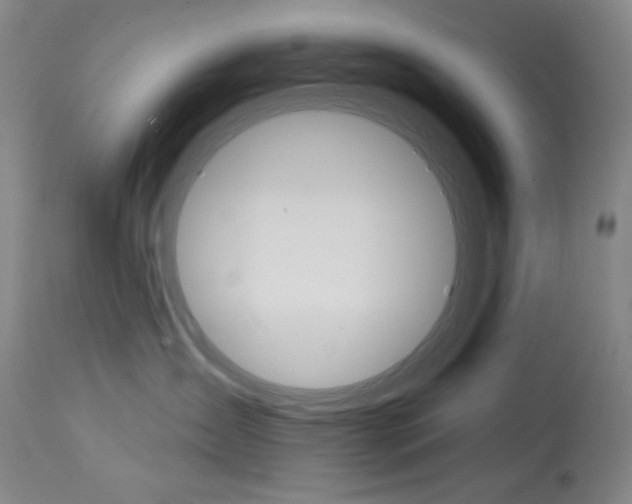 X0000114080431200910051004