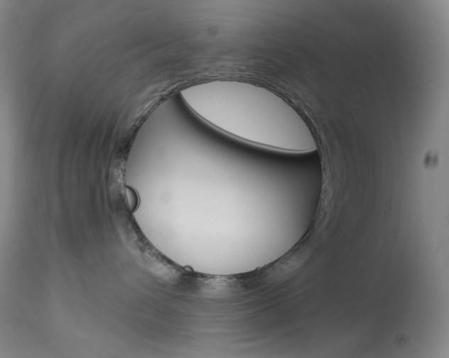 X0000114080432200910051004