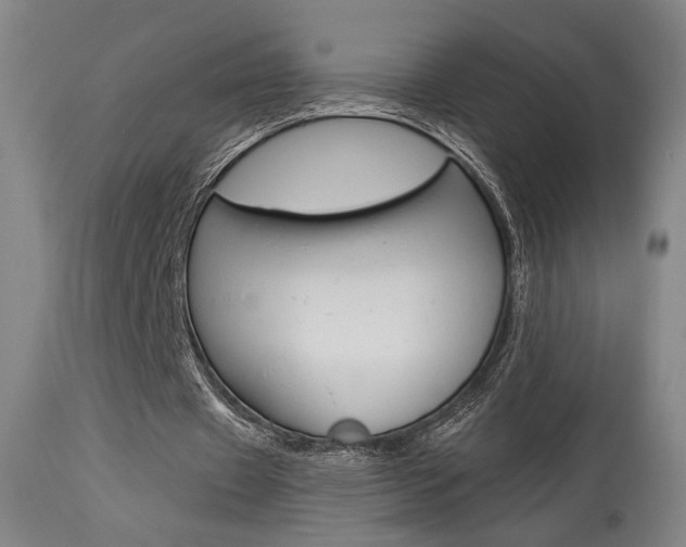 X0000114080433200910051004
