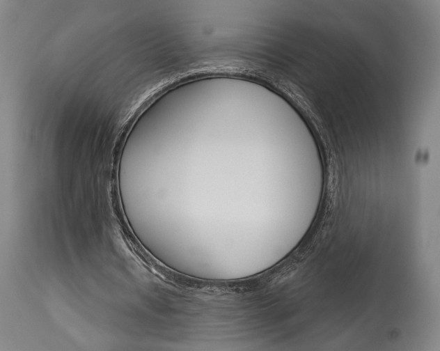 X0000114080434200910051004