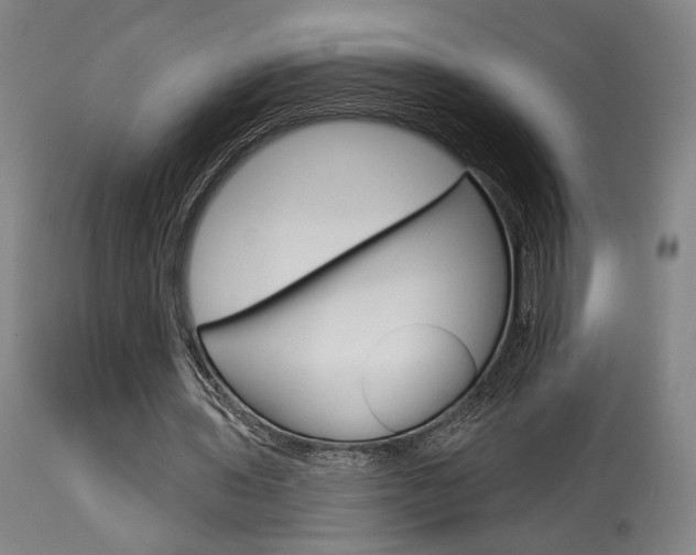 X0000114080435200910051004