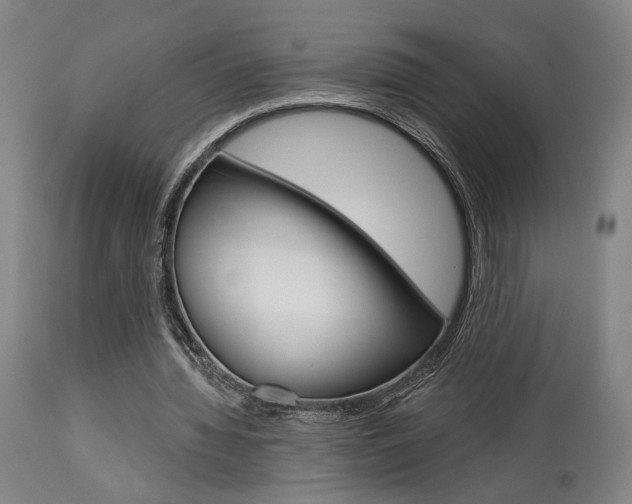 X0000114080436200910051004