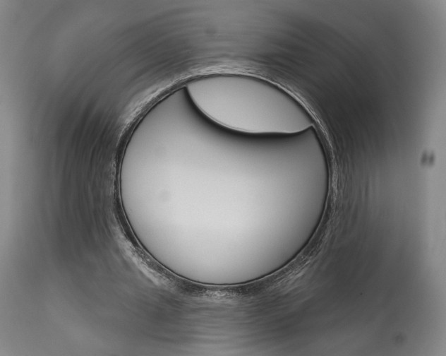 X0000114080437200910051004