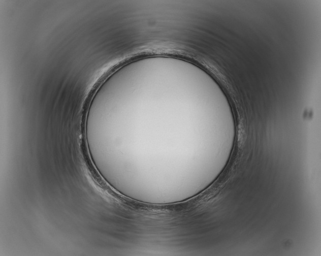 X0000114080438200910051004