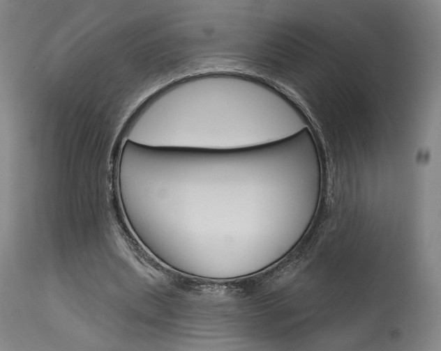 X0000114080439200910051004