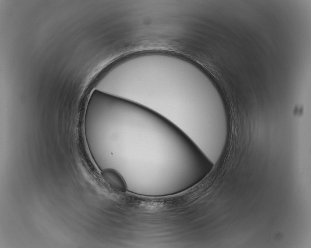 X0000114080440200910051004