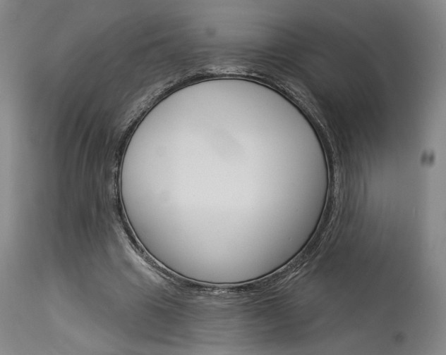 X0000114080441200910051004
